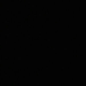 Meet your Posher, Wesley